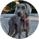 Lourdes Escobedo profile picture